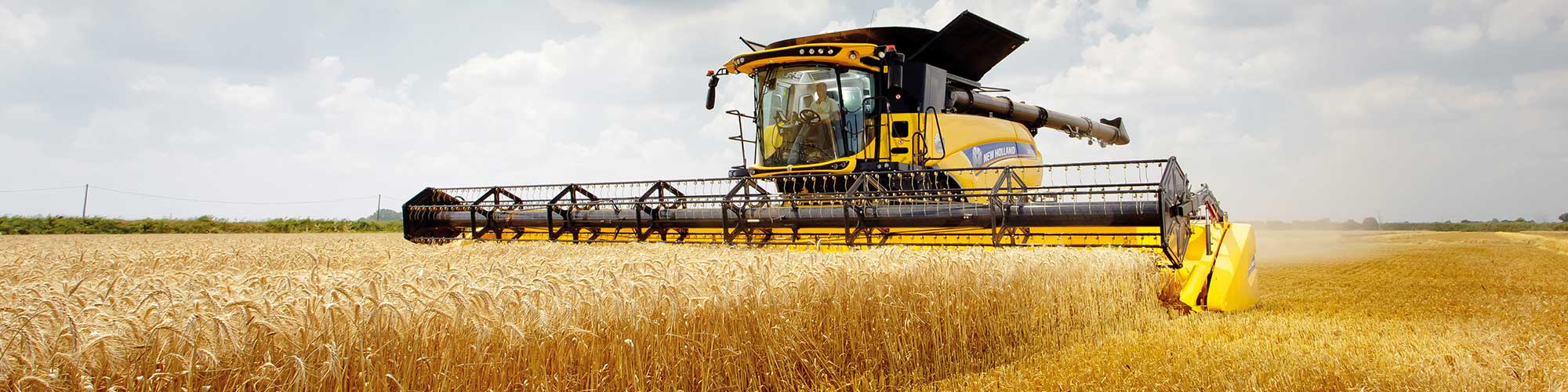 A FAMILY OWNED BUSINESS